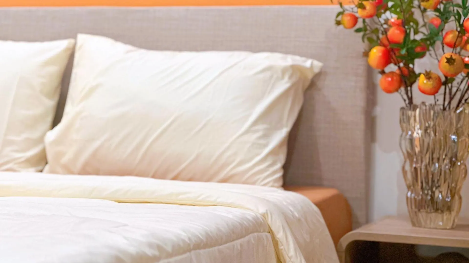 The Song 5 Stars Apartment - Tokyo Homestay Vung Tau Vietnam